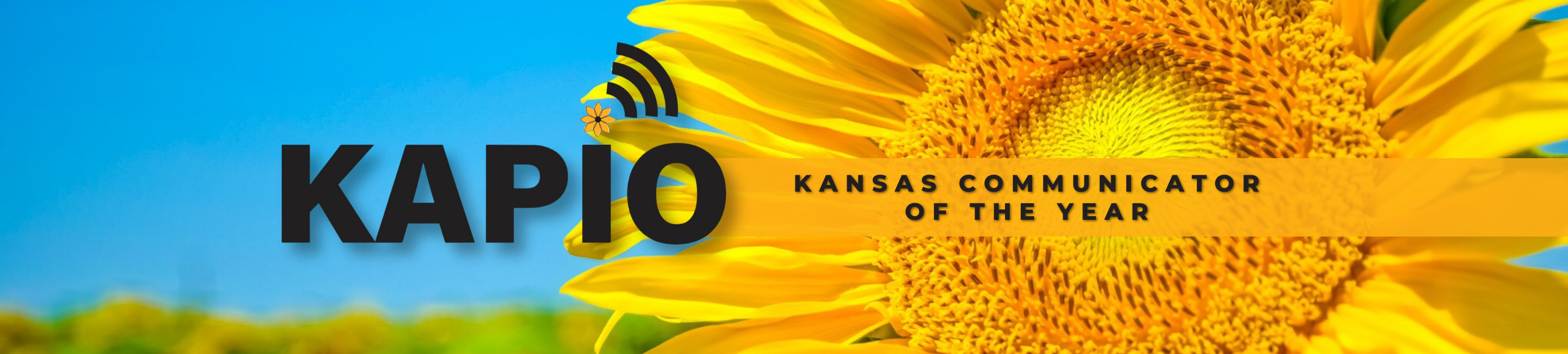 Kansas Communicator of the Year Page Banner Image